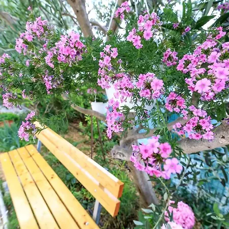 Family-friendly With Swimming Pool Brela, Makarska - 19998 Appartement