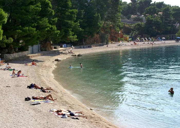 Family-friendly With Swimming Pool Brela, Makarska - 19998 Appartement