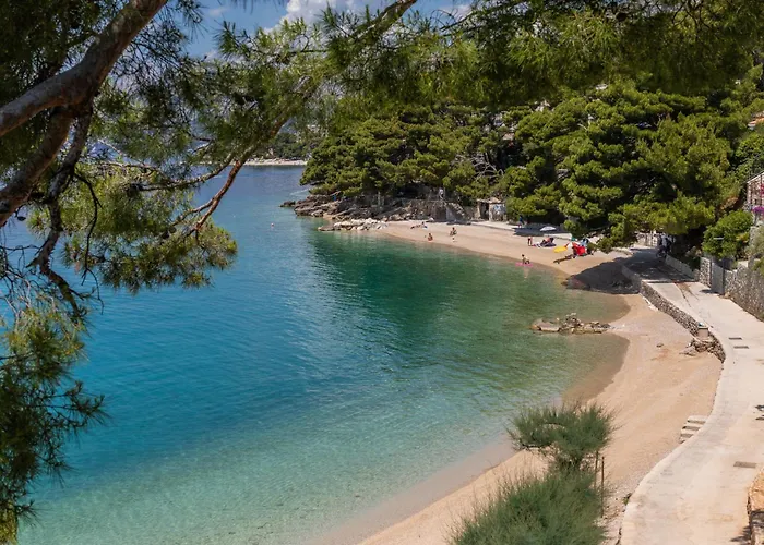 Family-friendly With Swimming Pool Brela, Makarska - 19998 Appartement