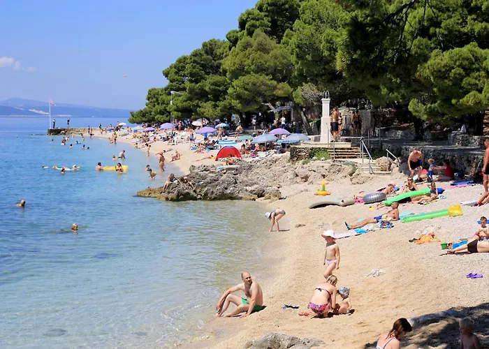 Appartement Family-friendly With Swimming Pool Brela, Makarska - 19998 Brela