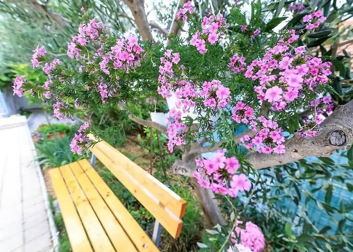 Family-friendly With Swimming Pool Brela, Makarska - 19998 Appartement